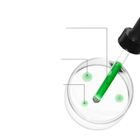 Skinceuticals Phyto Corrective Gel